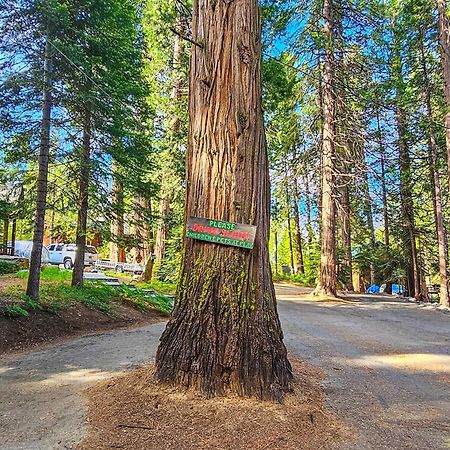 Water'S Edge Retreat Βίλα Shaver Lake Εξωτερικό φωτογραφία