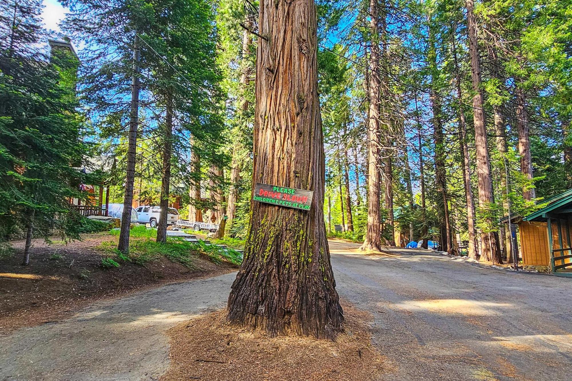 Water'S Edge Retreat Βίλα Shaver Lake Εξωτερικό φωτογραφία