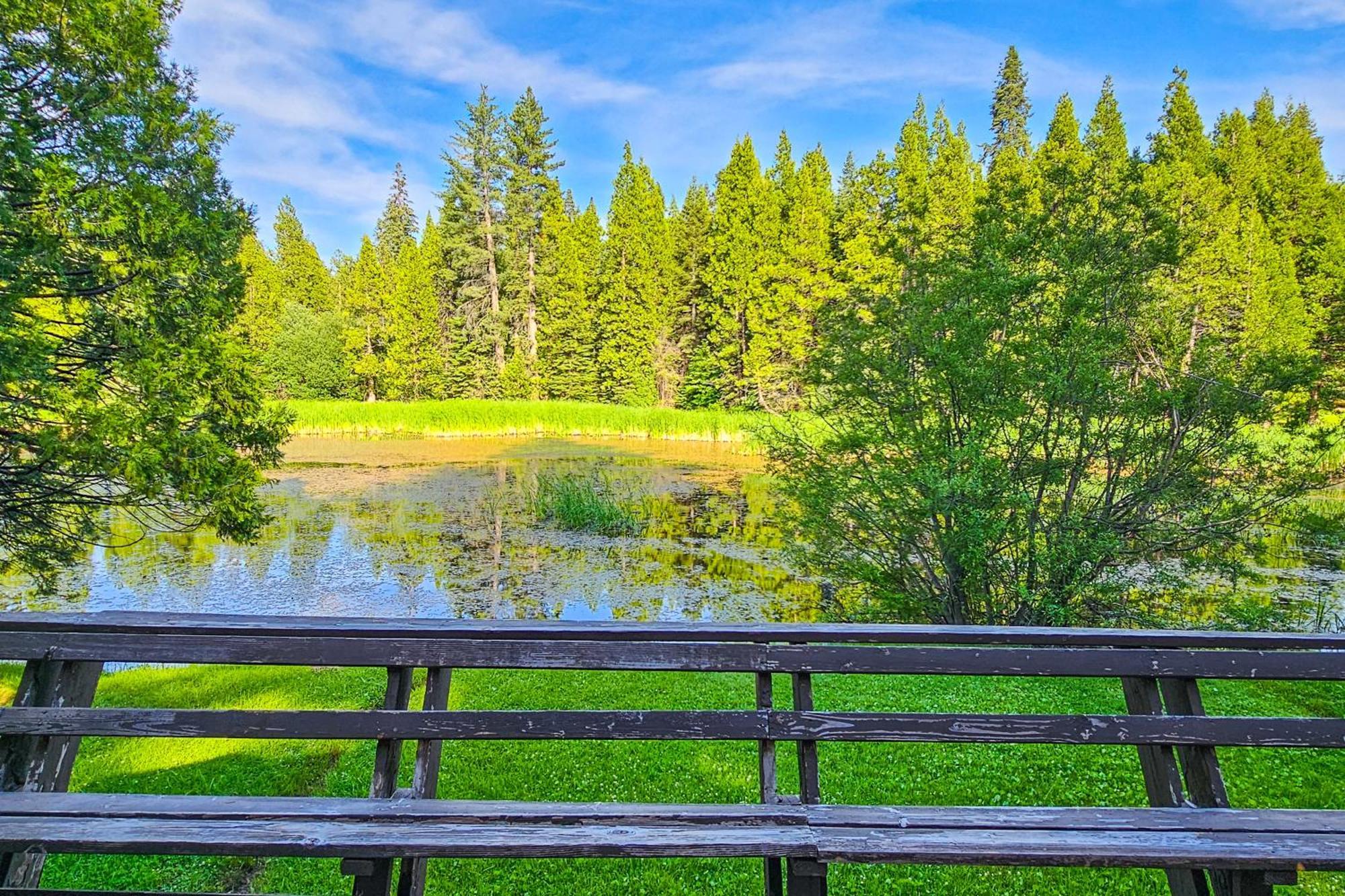 Water'S Edge Retreat Βίλα Shaver Lake Εξωτερικό φωτογραφία