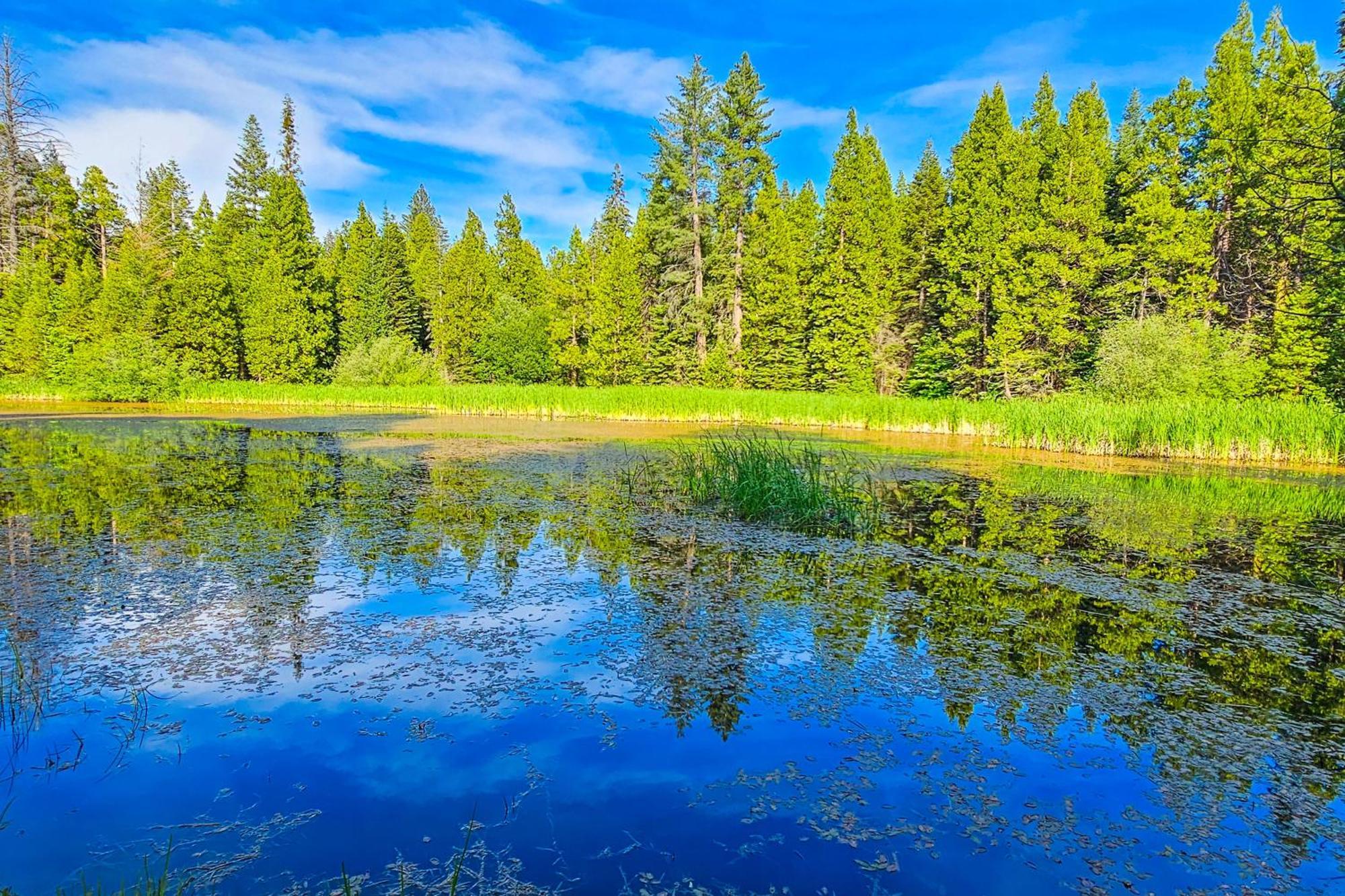 Water'S Edge Retreat Βίλα Shaver Lake Εξωτερικό φωτογραφία